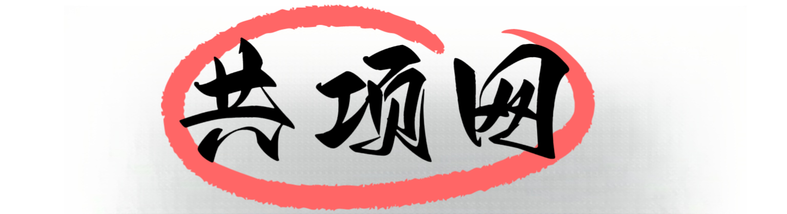 共项网