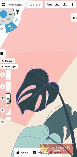 概念画板 v2025.07.4 高级版-共项网