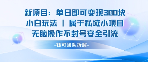 新项目单日即可变现3张的小白玩法无脑操作不封号安全引流-共项网
