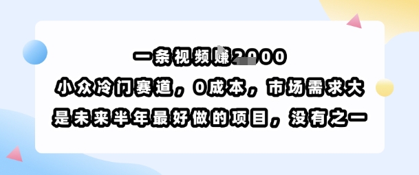 一条视频挣1k，小众冷门赛道，0成本，市场需求大，是未来半年最好做的项目，没有之一-共项网