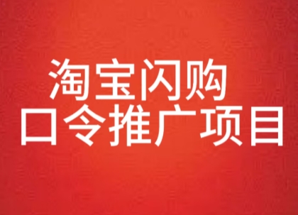 淘宝闪购口令推广项目，收益可观，一部手机，一个抖音号即可操作-共项网