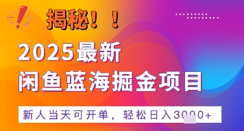 2025最新闲鱼蓝海掘金项目，新人当天可开单，轻松日入多张+的保姆级教程-共项网