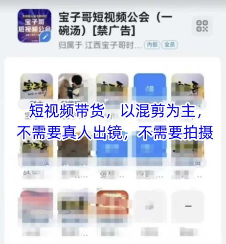 宝子哥头部团队短视频带货，以混剪为主，不需要真人出镜，不需要拍摄【更新6月】-共项网