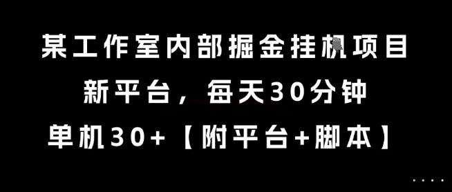 某工作室内部掘金挂G项目，新平台，每天30分钟，单机30+【揭秘】-共项网