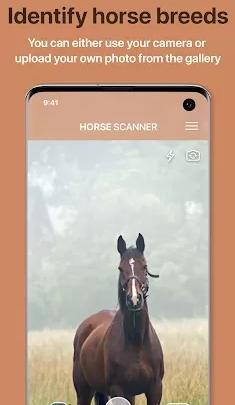 Horse Scanner 马鉴定器v12.1.0高级版-共项网