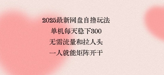 2025最新网盘自撸玩法，单机每天稳下3张，无需流量和拉人头，一个人就可轻松矩阵，全网独一份【揭秘】-共项网