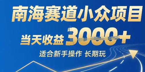 南海赛道小众项目，当天收益1k+适合新手操作可以长期玩-共项网