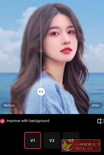 EPIK 轻图国际版 v6.1.27高级版-共项网