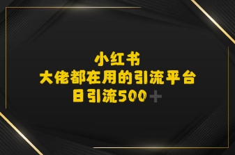 小红书，大佬都在用的大粉平台，日引流500+-共项网