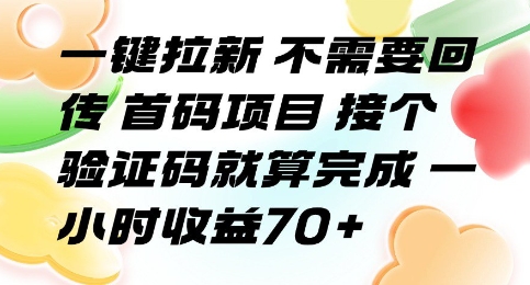 一键拉新 不需要回传 首码项目 接个验证码就算完成 一小时收益70+【揭秘】-共项网