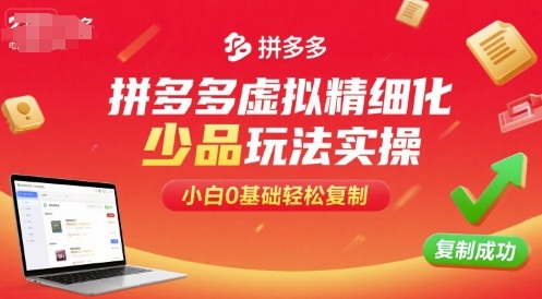 拼多多虚拟精细化少品玩法实操，小白0基础轻松复制-共项网