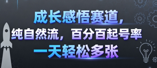 成长感悟赛道，纯自然流，百分百起号率 一天轻松多张-共项网