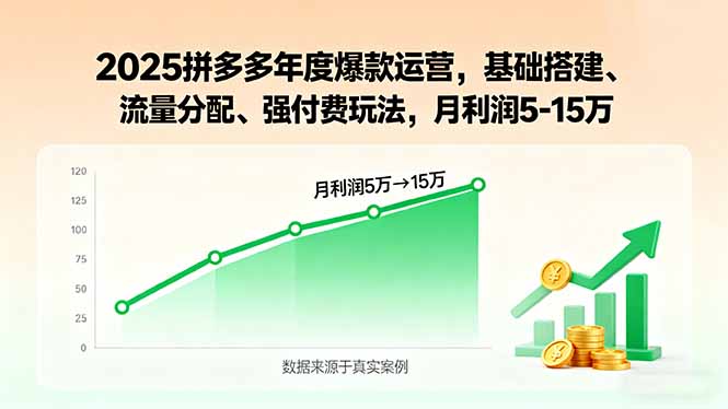 2025拼多多年度爆款运营，基础搭建、流量分配、强付费玩法，月利润5-15万-共项网