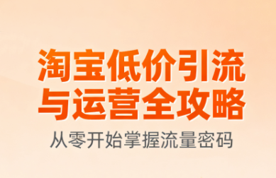 淘宝低价引流与运营全攻略(更新9月)-共项网