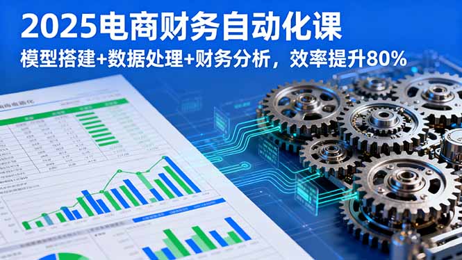 2025电商财务自动化课，模型搭建+数据处理+财务分析，效率提升80%-共项网