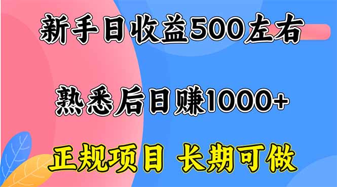 新手日收益500+ 正规项目 长期可做-共项网