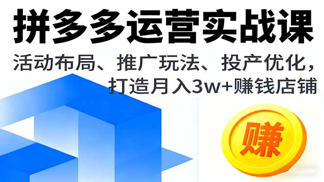 拼多多运营实战课，活动布局、推广玩法、投产优化，打造月入3w+赚钱店铺-共项网