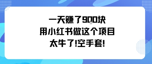 一天挣了9张用小红书做这个项目太牛了，空手套-共项网