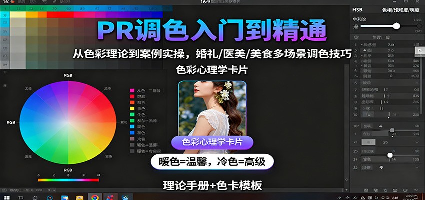 PR调色入门到精通：从色彩理论到案例实操，婚礼/医美/美食多场景调色技巧-共项网