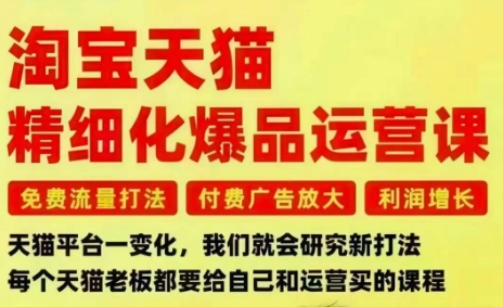 淘宝天猫精细化爆品运营课，免费流量打法-付费广告放大-利润增长-三大核心痛点，一次全部解决-共项网