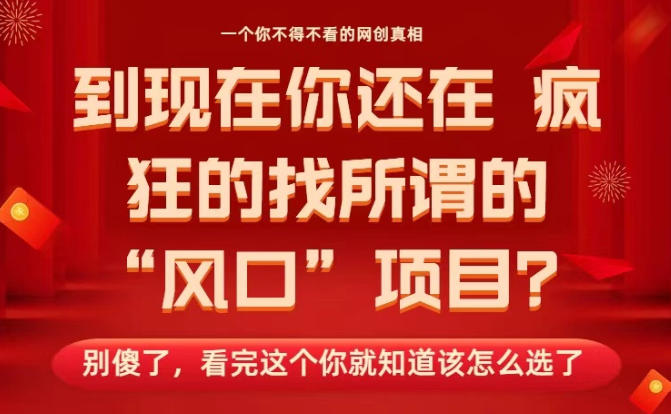 马上26年了，你还在找所谓的风口项目？别傻了，看完这个你全都懂了！【揭秘】-共项网