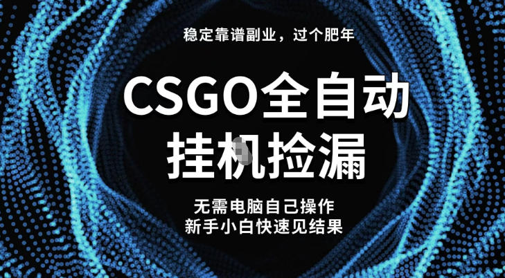 【稳定副业】全球最热门游戏CSGO全自动捡漏，最新玩法，新手小白日入5张+【揭秘】-共项网