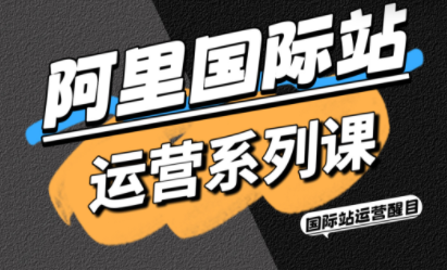 醒目老师·阿里国际站运营系列课(更新11月)-共项网