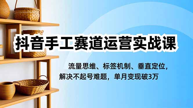 抖音手工赛道运营实战课，流量思维、标签机制、垂直定位，解决不起号难题，单月变现破3万-共项网