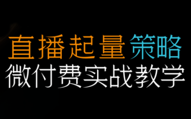 半野老师·直播带货起量与微付费必学课视频号-共项网