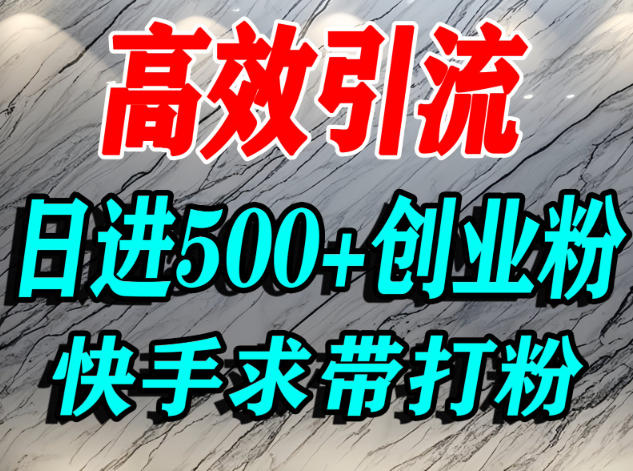 怎么打创业粉？快手求带视角精准引流创业粉，宝妈、学生群体日进500+精准流量-共项网
