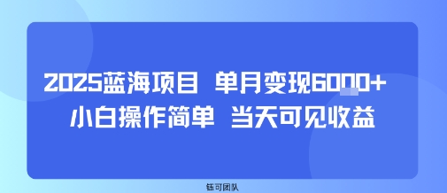 2025蓝海项目 单月变现6k+ 小白操作简单 当天可见收益-共项网