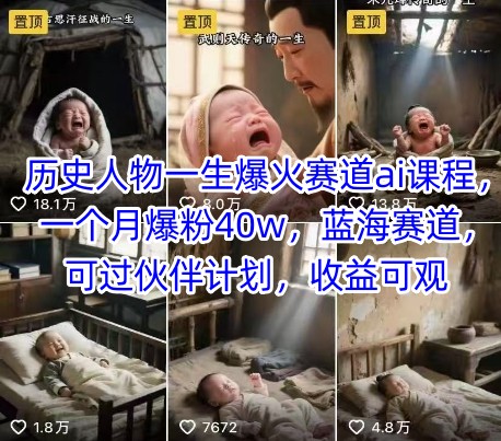 历史人物一生爆火赛道ai课程，一个月爆粉40w，蓝海赛道，可过伙伴计划，收益可观-共项网