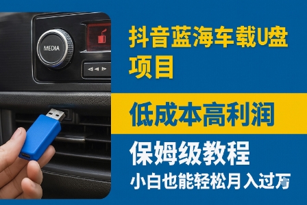 抖音蓝海车载U盘项目，低成本高利润保姆级教程，小白也能轻松月入过W-共项网