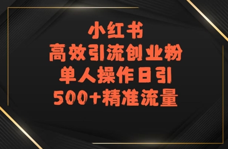 小红书高效引流创业粉，单人操作日引500+精准流量-共项网
