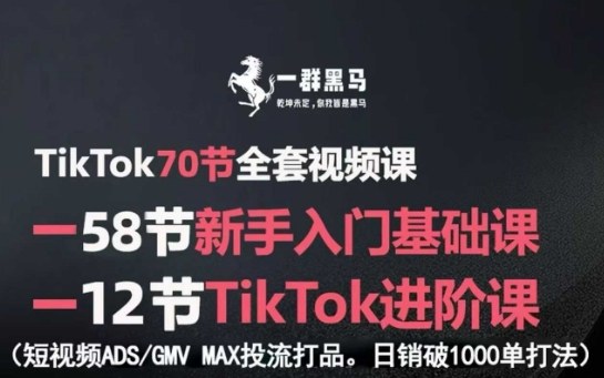 TikTok全套视频课，新手入门+进阶课，短视频ADS-GMV MAX投流打品，日销破1000单打法-共项网