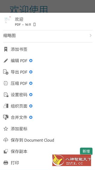 Adobe Acrobat Reader Pro 鼻祖级PDF处理器v25-共项网