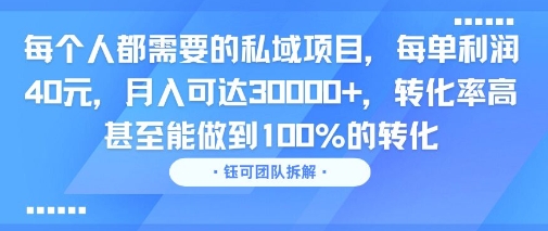 每个人都需要的私域项目，每单利润40米，月入可达3W+，转化率高 甚至能做到100%的转化-共项网
