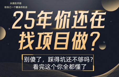 25年，你还在疯狂的找项目吗？别傻了，看完这个你都懂了【揭秘】-共项网