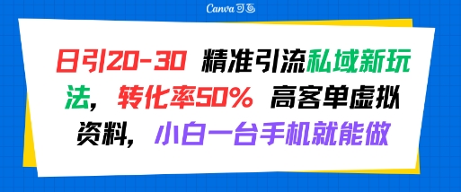 日引 20-30 精准引流私域新玩法，转化率50% 高客单虚拟资料，小白一台手机就能做-共项网