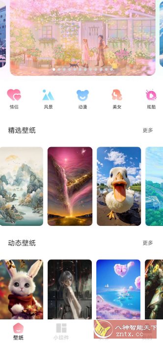 91熊猫桌面主题v1.0.5高级版-共项网