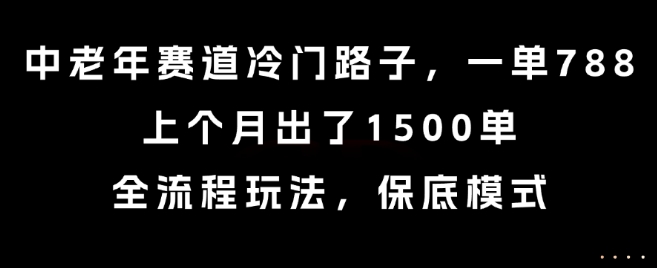 中老年赛道冷门路子，一单788，上个月出了1500单，全流程玩法，保底模式【揭秘】-共项网