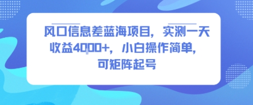 风口信息差蓝海项目，实测一天收益4k+，小白操作简单，可矩阵起号-共项网
