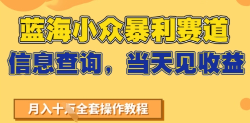 蓝海小众暴利赛道，信息查询，当天见收益，不讲玄学，7天搞了2W+-共项网