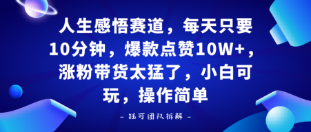 人生感悟赛道，每天只要十分钟，爆款点赞10W+，涨粉带货太猛了，小白可玩，操作简单-共项网