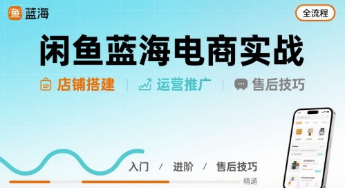 闲鱼蓝海电商实战，店铺搭建运营售后全流程-共项网