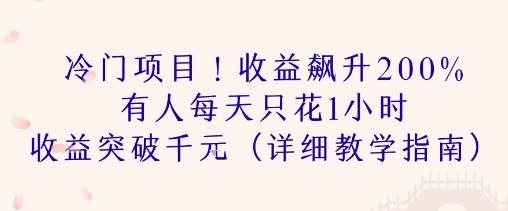 冷门项目！收益飙升200% 有人每天只花1小时 收益突破1k(详细教学指南)-共项网