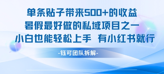单条贴子带来5张的收益，暑假最好做的私域项目之一，小白也能轻松上手，有小红书就行-共项网