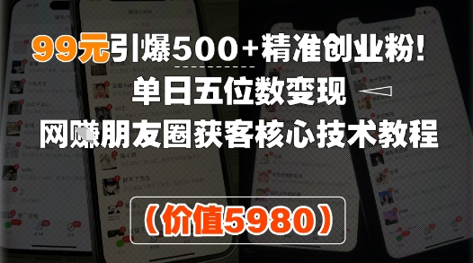 99元引爆500+精准创业粉！单日五位数变现，网创朋友圈获客核心技术教程-共项网
