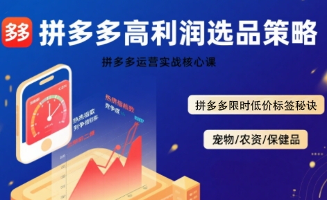 拼多多选品暴利技术实战课，拼多多高利润选品策略，拼多多限时低价标签秘诀-共项网