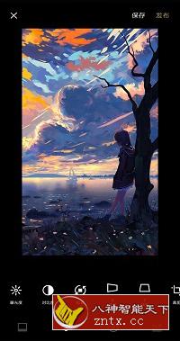 VSCO 全滤镜v435高级版-共项网